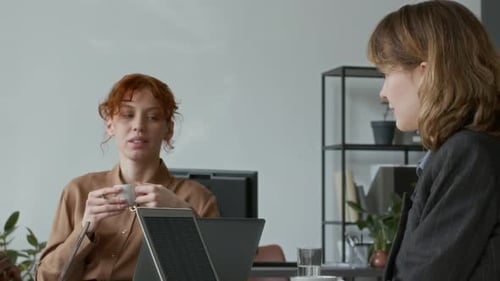 Team Collaborating on Laptops in Modern Office