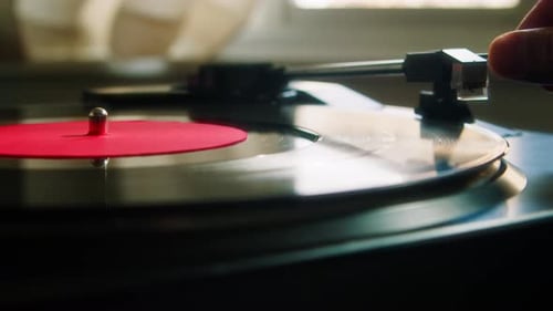 Record Player Vinyl Playing Gramophone