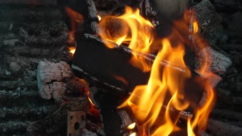 Fire Flames Burning Closeup View of Orange Yellow Flames on Wood and Ash