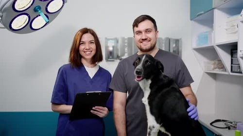 Friendly Veterinarians Pose With Dog in Clinic