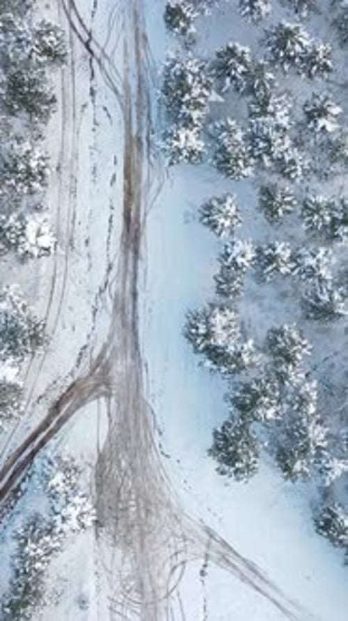 Vue aérienne de la forêt d'hiver