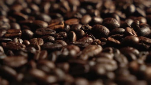 Pile of Dark Brown Roasted Coffee Beans Close Up