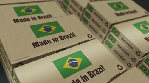 Made in Brazil box pack production loopable seamless