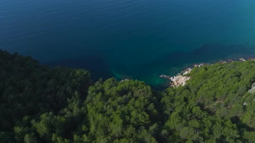 Aerial Video of a Rocky Beach With CrystalClear Blue Water Surrounded By Dense Green Forests