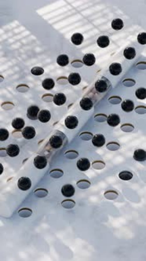 3D-Animation mit springenden Murmeln