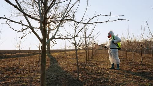Ein Farmeragronom in Schutzanzug und Atemschutzmaske besprüht Bäume