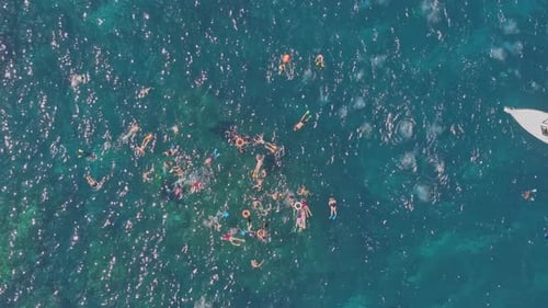 Aerial view of snorkeling at Manta Point, Nusa Penida, Indonesia.