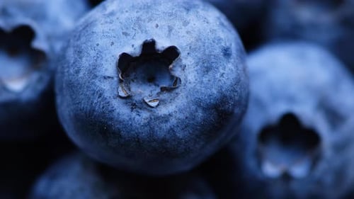 Close up of fresh blueberries.