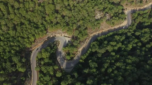 Black Car Driving on Winding Road Through Forest