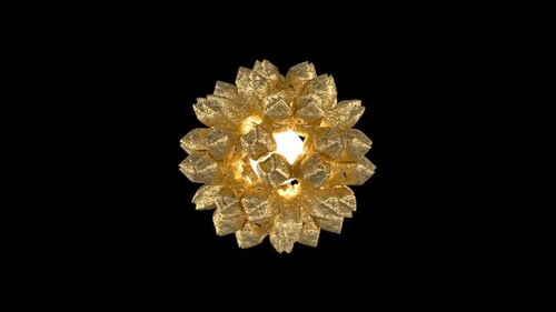 Abstract Magical Golden Sphere Alpha Loop