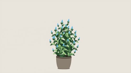 Home plant animation. Potted plant isolated. Decorative green houseplant in pot. Plant in pot