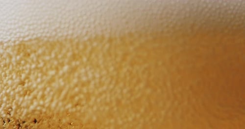Beer Pouring in a Glass, Close Up