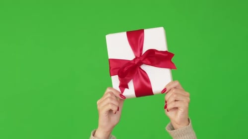 Hands Holding White Gift With Red Bow