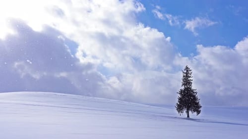 Weihnachtsbaum mit Schnee im Winter