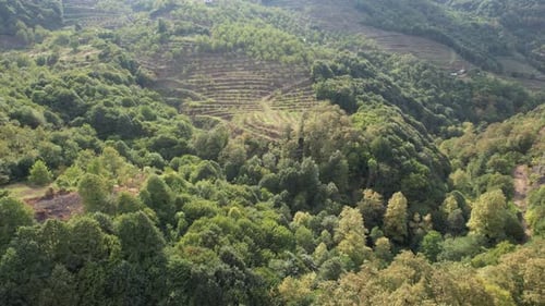 Aerial Green Valley