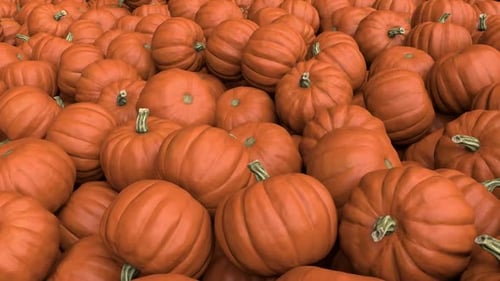 Endless Pile Of Pumpkins Loop