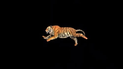 Wild Tiger Run Fast 2