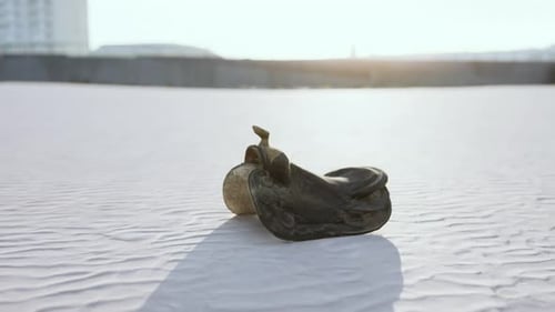 Old Horse Saddle on the Beach