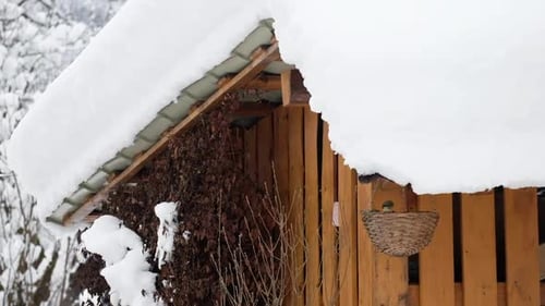birds feeding from a basket in winter
