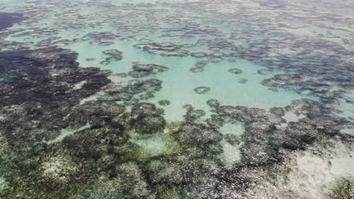 Ocean Floor With Coral Reefs Top Views. Shallow Ocean. Indian Ocean Aerial