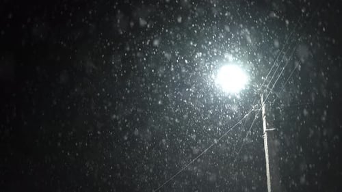 Real Snowfall Winter Snow at Night Single Lone Light Lamp Illuminating Street Cold Weather Blizzard