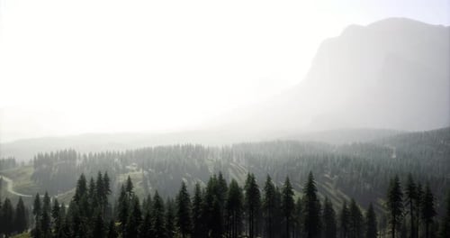Majestic Mountain Landscape Enveloped in Mist During the Early Morning Hours