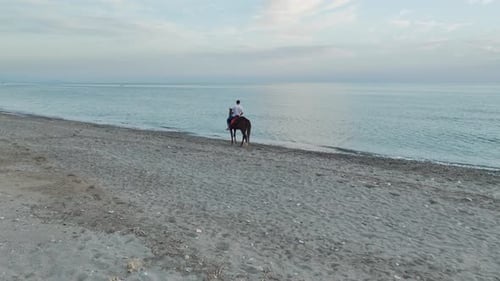 Aerial View Horseback Horizon Sunset Views Over the Sea