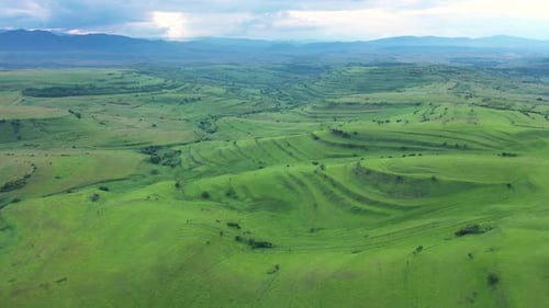 High Angle Aerial Above View of Green Meadow in the Spring, Countryside Hills