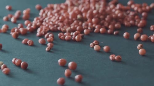 Red peppercorn Slow motion took in studio