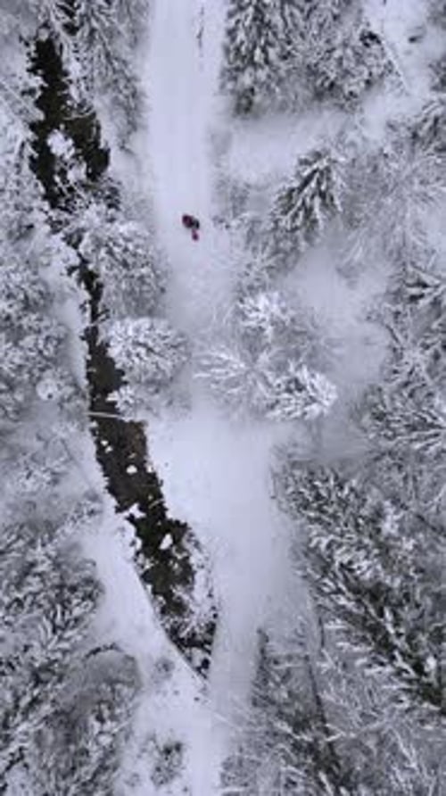 Top View of Snowcovered Trail in Winter Mountain Forest