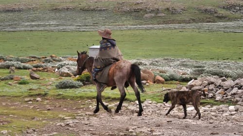 Un fermier du Lesotho monte à cheval et conduit son chien dans une prairie verdoyante