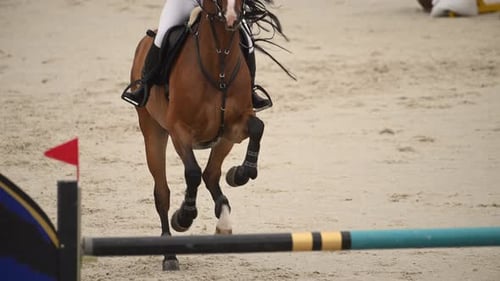 Ein braunes Pferd und ein Reiter räumen in einem Springwettbewerb einen Sprung ab, wobei die Hufe des Pferdes den