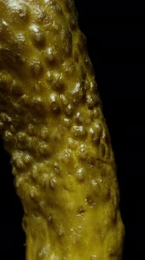 Vertical video. Brined cucumber on a black background, rotating, slowly falling. Close-up.