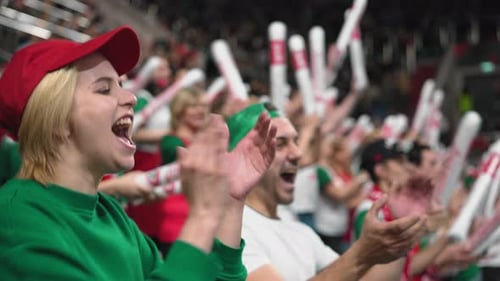 Soccer fans support team. Girl watch sport game on stadium tribune. Goal winning