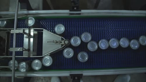 Process and production line in canned fish factory