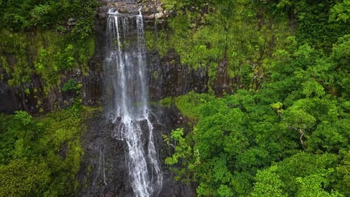 Majestic Rainforest Waterfall Emerging From Dense Green Canopy in Untouched Natural Paradise