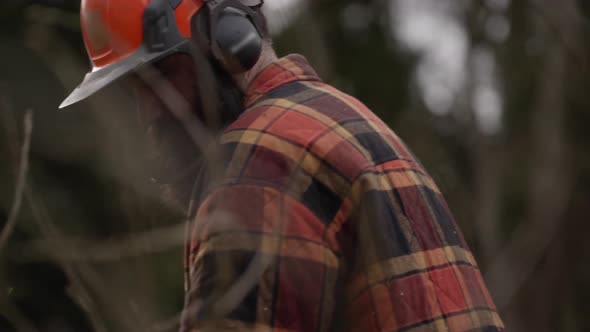 Lumberjack using chainsaw in forest wearing protective gear and plaid ...
