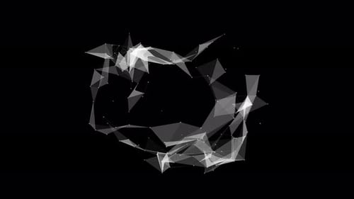 Schwarz-weißer Plexus