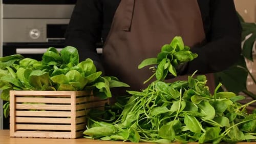 Spinach leaves