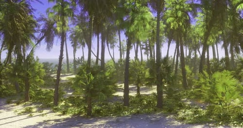 Tropical Paradise with Lush Palm Trees Beside Serene Ocean Shoreline