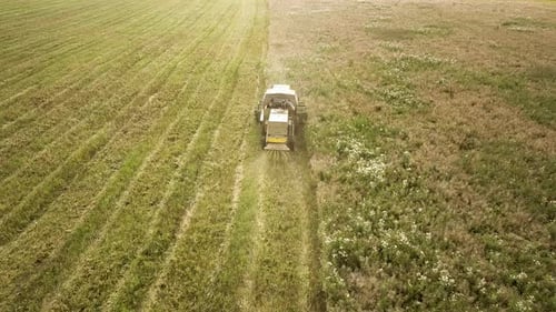 Aerial View of Combine Harvester Harvesting Large Ripe Wheat Field