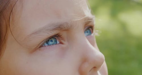 Closeup of a Child's Eyes