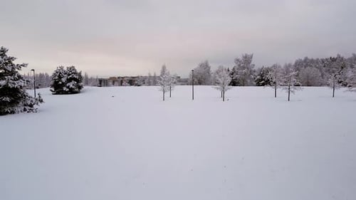 Aerial view in the estonian park in winter 2