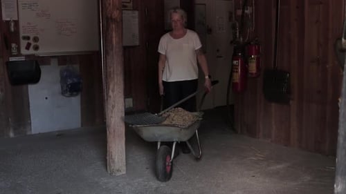Adult Pushing Wheelbarrow Filled with Hay