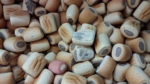 Dog Biscuits