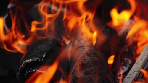 Smoldered wooden logs background. White ash from wood in fire.