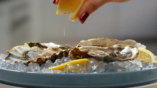 Fresh Raw Oysters with Ice Squeeze Lemon French Restaurant Mediterranean Healthy Sea Food Gourment