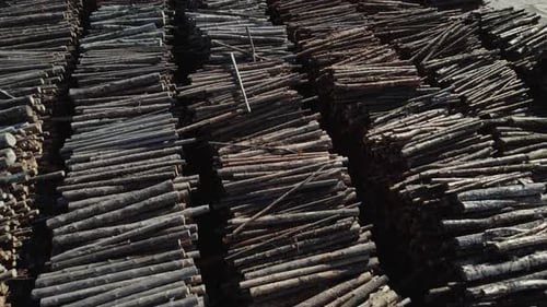 Luftaufnahme der Wood Processing Factory einer großen Anzahl von für die Verarbeitung geernteten Baumstämmen Ansicht von einem