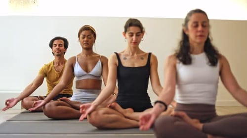Group Meditating in Yoga Studio Sunlight