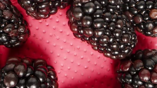 I close the packaging with blackberries using a transparent lid on the red napkin. Dolly macro